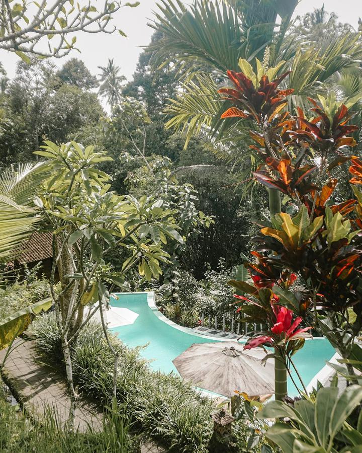 Song Broek Bali Hotell Payangan Eksteriør bilde