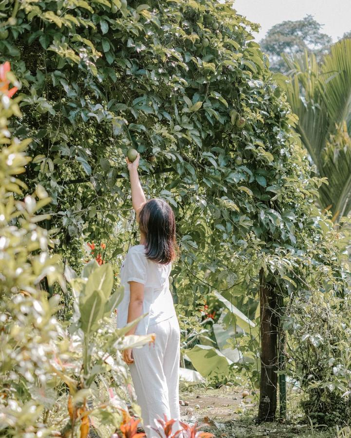 Song Broek Bali Hotell Payangan Eksteriør bilde