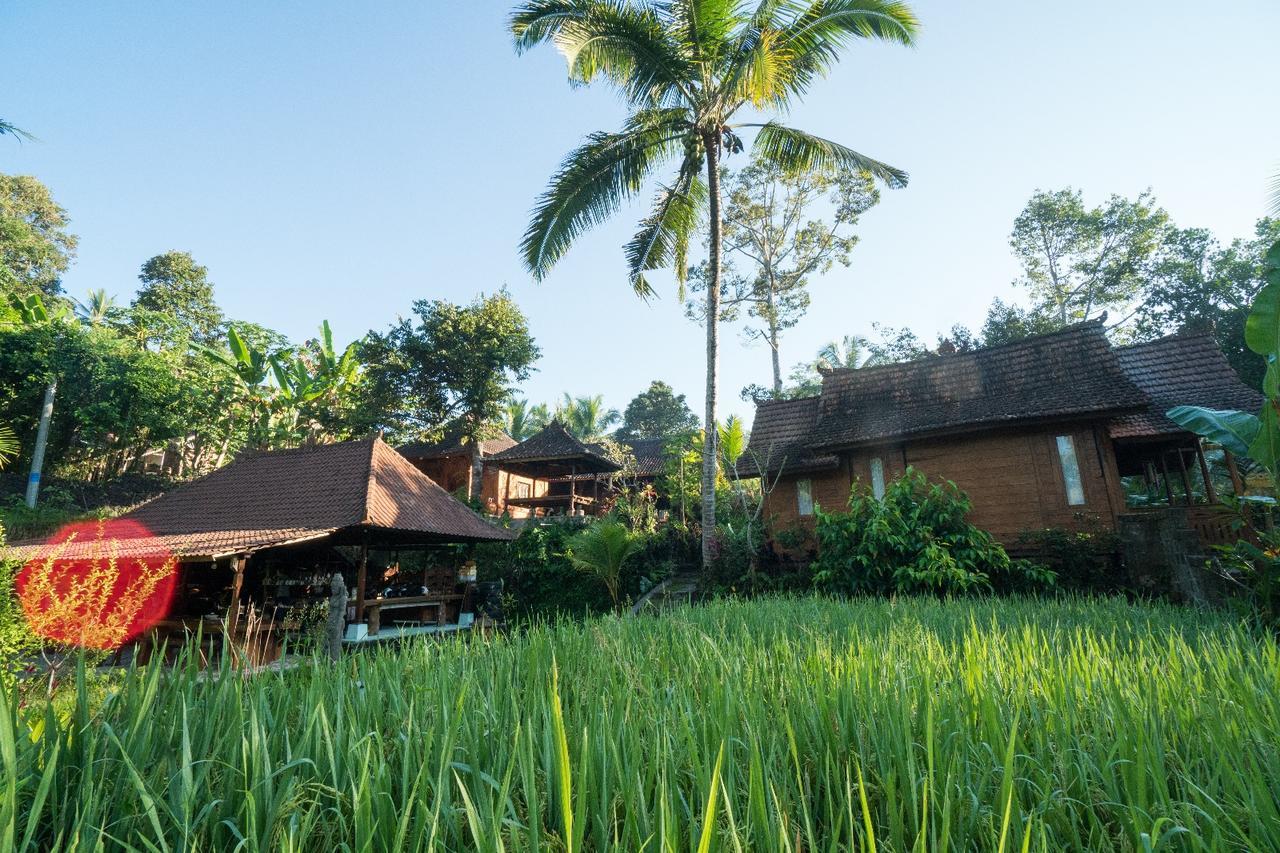 Song Broek Bali Hotell Payangan Eksteriør bilde